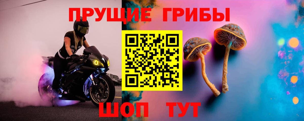 Псилоцибиновые грибы GOLDEN TEACHER  Вход с VPN  Кулебаки 